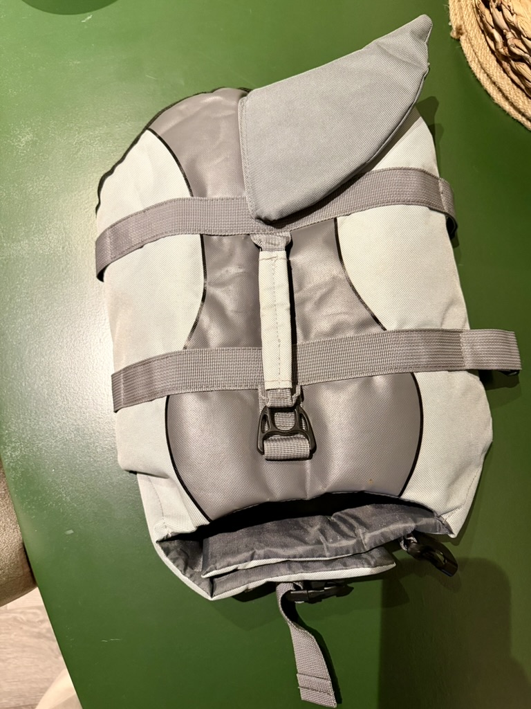 Shark-fin pet vest, photo 1 of 1
